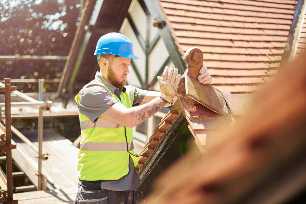 Best Roof Maintenance Services  in Danville, CA